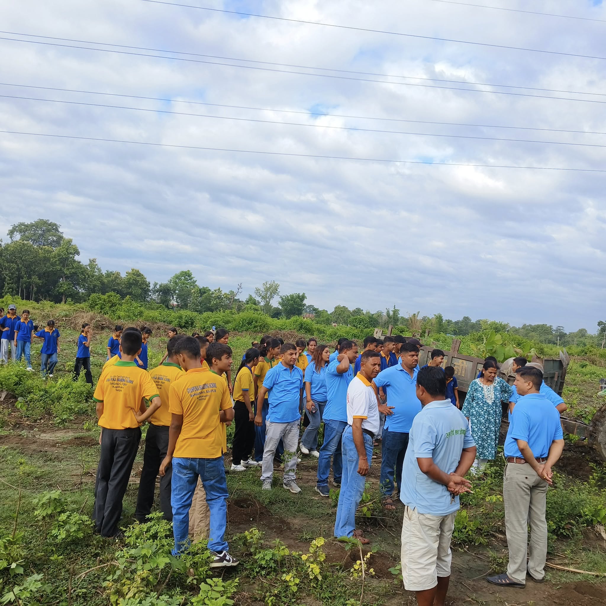 Tree Plantation Program