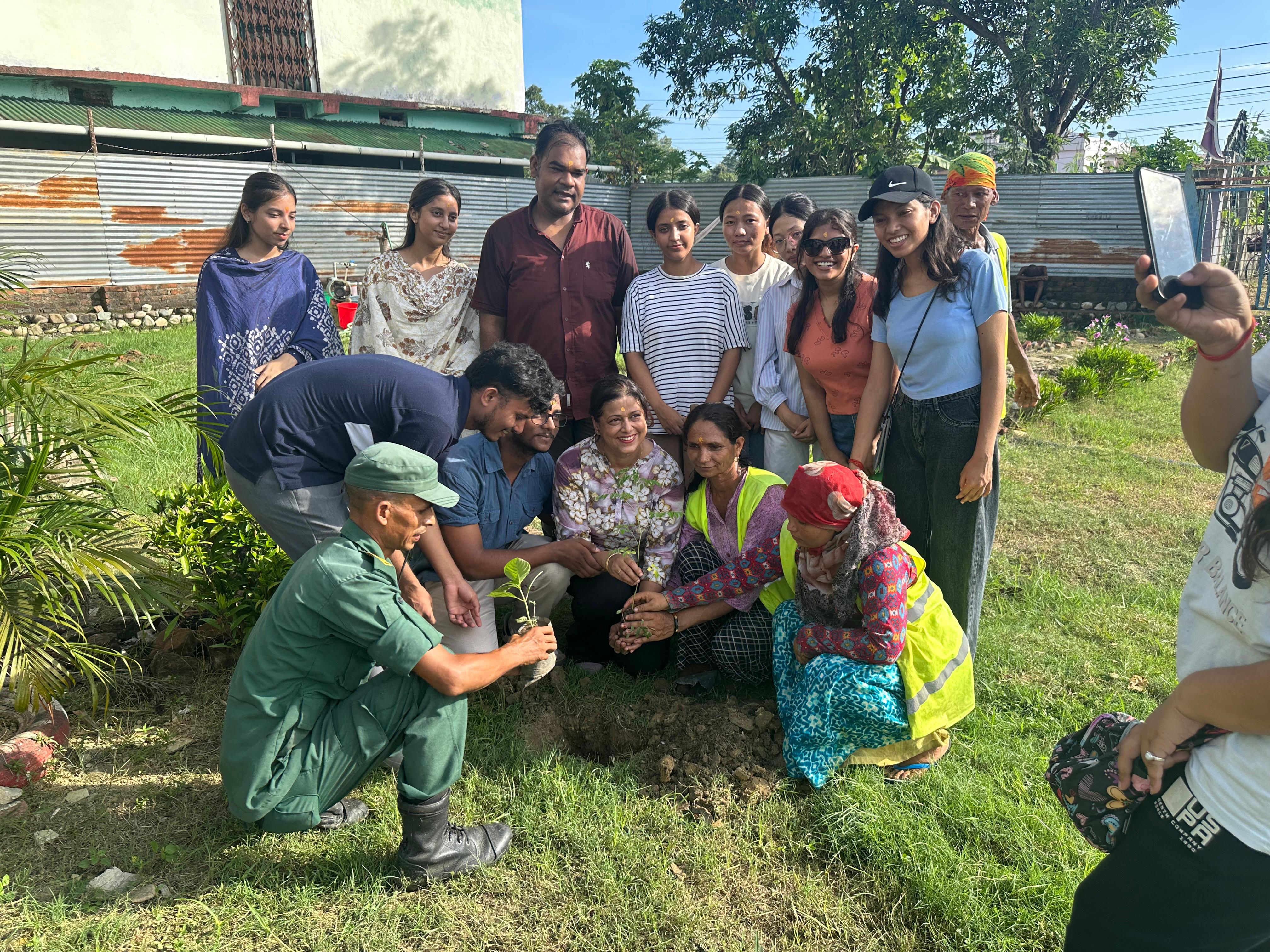 Tree Plantation Program