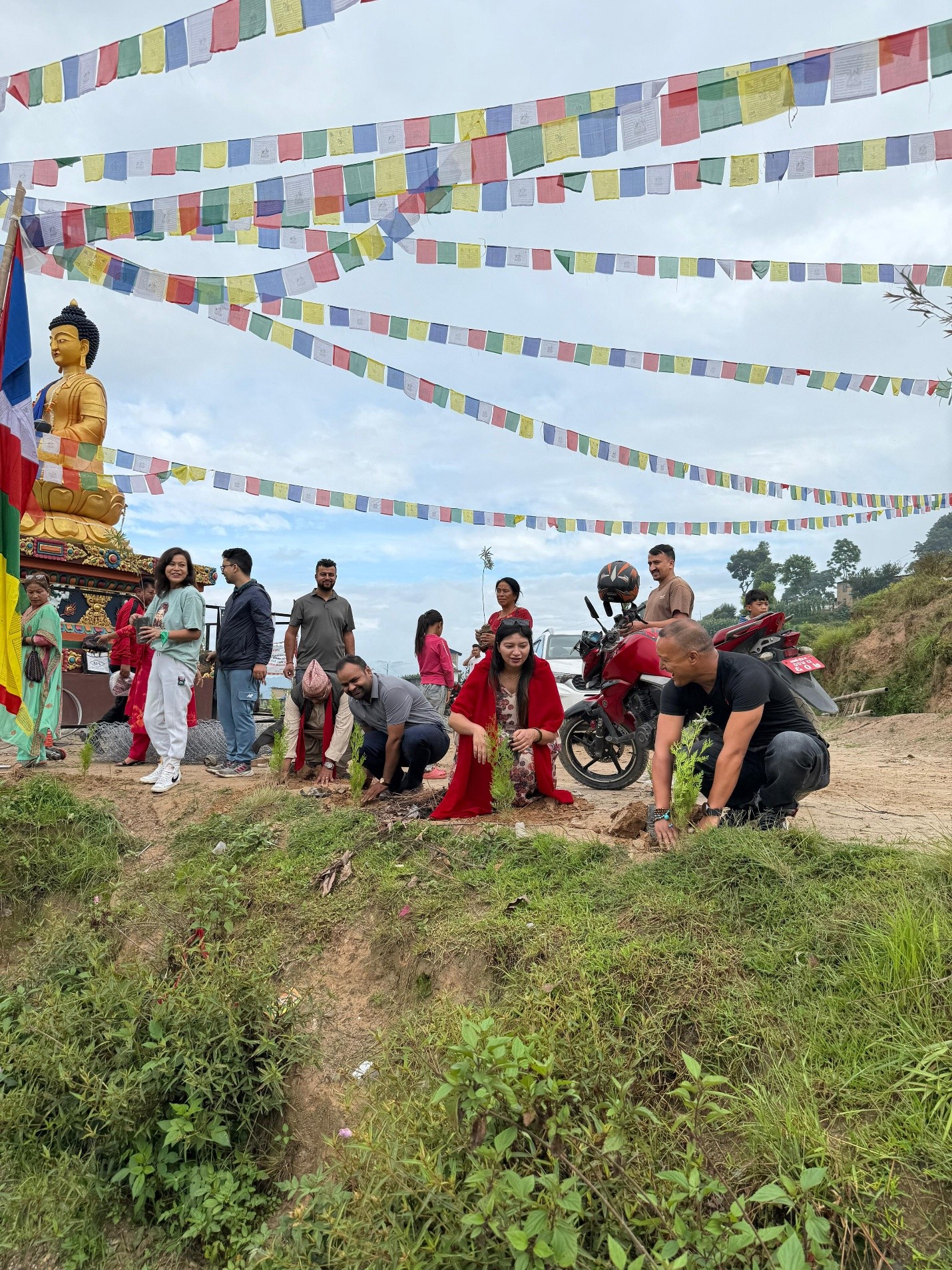 180 FOR 50,000 DISTRICT PLANTATION PROGRAM