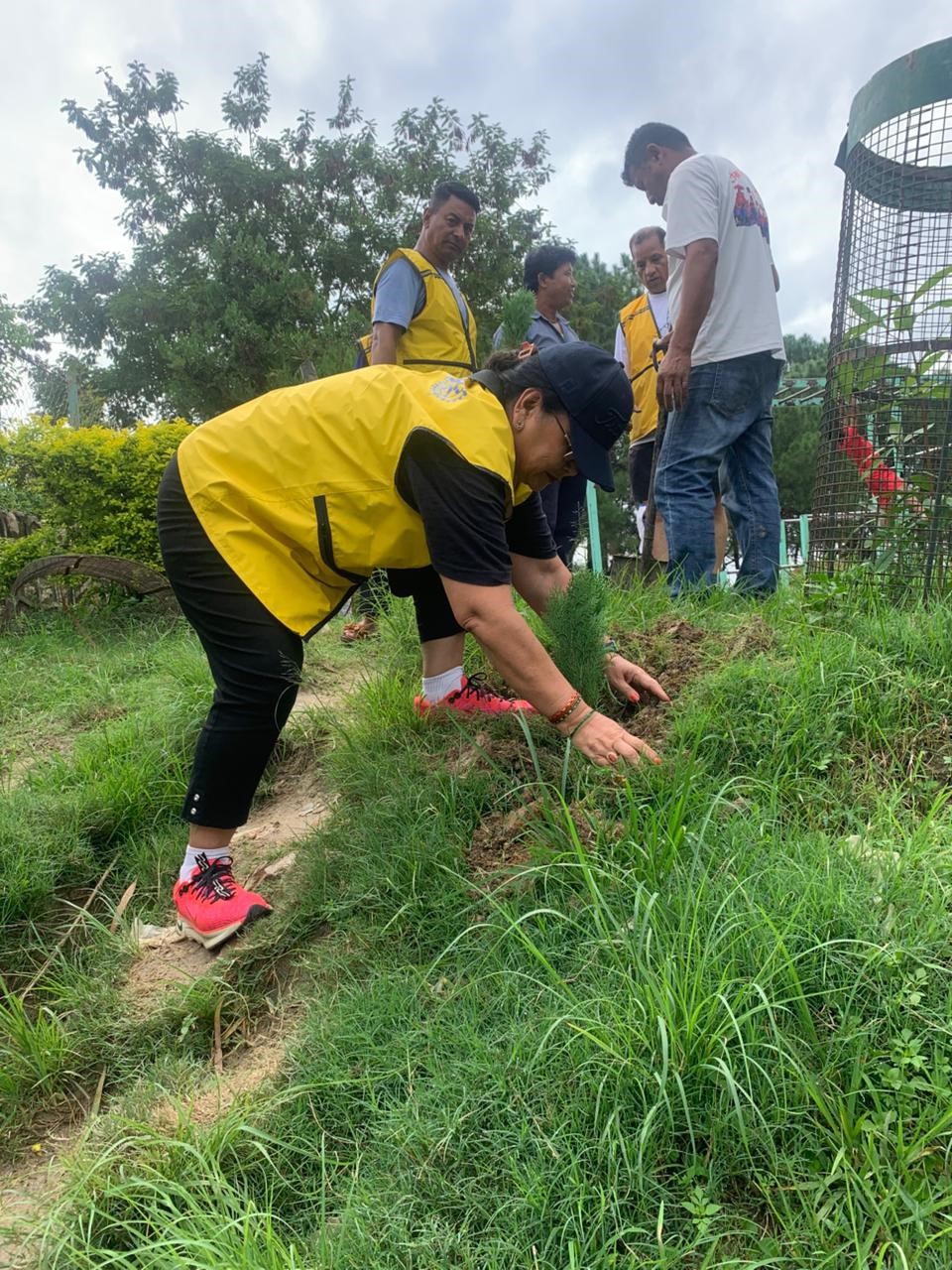 Rotary Tree & Fruit Nursery Establishment and Tree Plantation Program