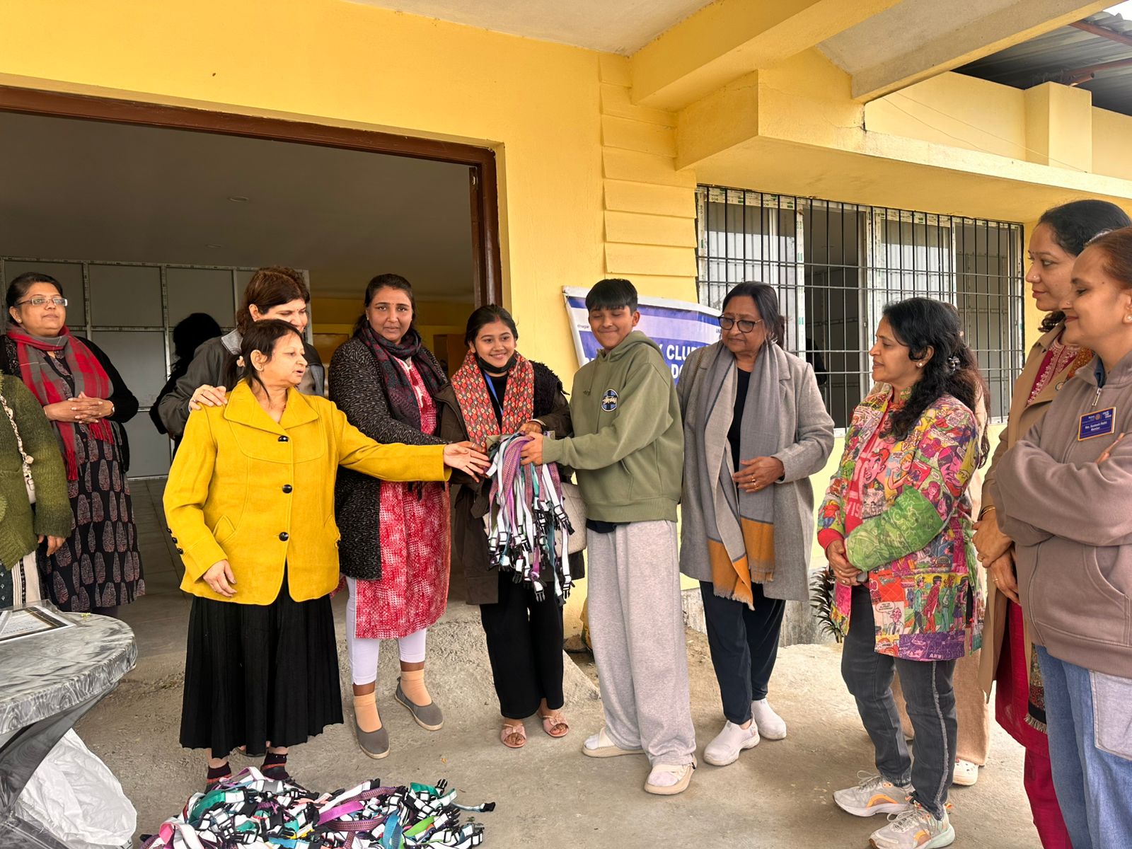 Glow for Life-500 Reflective Dog Collars put on Dogs